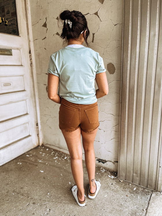 The Fawn Mid-Rise Judy Blue Shorts