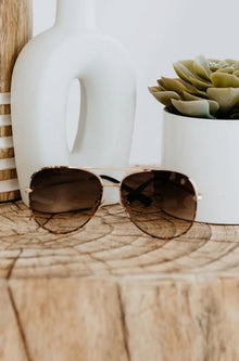  Hollywood Sunglasses in Gradient Brown