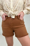 The Fawn Mid-Rise Judy Blue Shorts